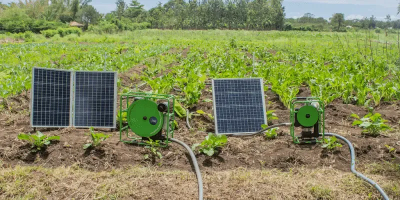 Solar pumps irrigating a smallholder farm