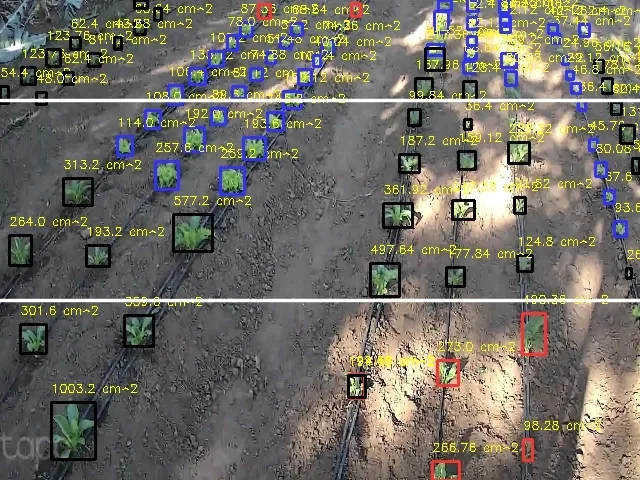 Model output measuring individual plants
